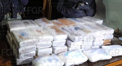 Detienen a cinco personas en dos cateos en CDMX; les incautan armas y droga