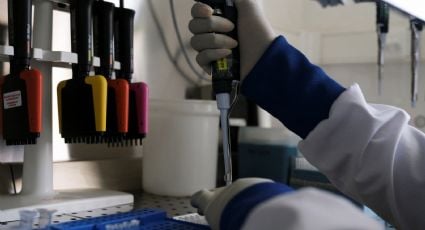 Da positivo a hantavirus uno de los 14 españoles evacuados del crucero MV Hondius
