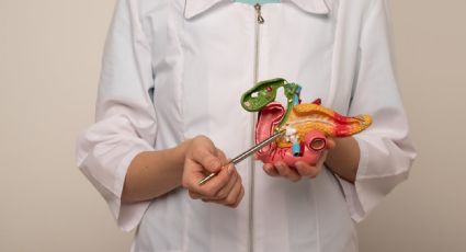 El páncreas bioartificial con células vivas está cerca de estar listo; lo detiene el sistema inmune
