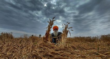 El cambio climático favorece que haya piedras de granizo más grandes y dañinas, revela estudio