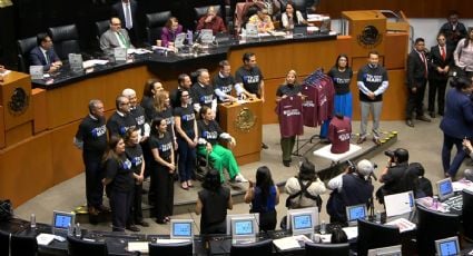 Senadores del PAN retan a morenistas a ponerse playeras con el mensaje “Yo con Rocha”; ninguno acepta