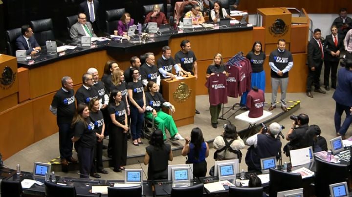 Senadores del PAN retan a morenistas a ponerse playeras con el mensaje “Yo con Rocha”; ninguno acepta