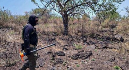 Hallan nueve cráneos durante jornada de búsqueda en Jacona, Michoacán