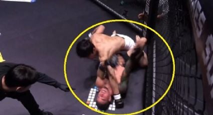 Peleador brasileño de Artes Marciales Mixtas es noqueado y rematado en la lona tras burlarse de su rival