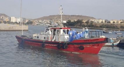 Brote de hantavirus que causó tres muertes es transmisible entre humanos; evacúan a casos sospechosos de crucero
