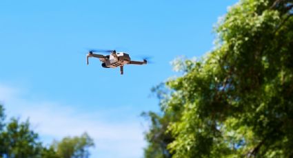 Mandan dron a sobrevolar la "carnita asada" donde celebraron la salida de Rocha Moya y se desploma