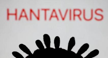 De Latinoamérica a Europa: así se propagó el hantavirus del crucero MV Hondius