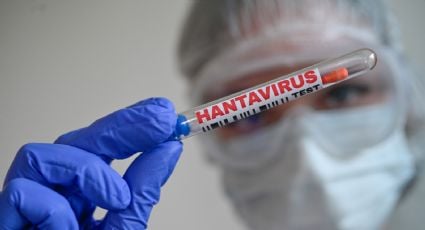 OMS confirma seis casos positivos de hantavirus previo al arribo del crucero a las Islas Canarias