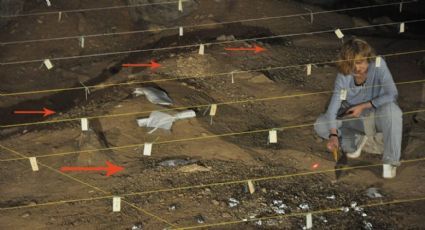Los homínidos descubrieron el fuego 700 mil años antes de lo que se creía, según nuevo estudio