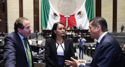 Reavivan propuesta del PVEM para endurecer castigos a delitos ambientales tras el rescate de pericos protegidos