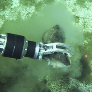 Hallan el cementerio de ballenas más profundo y extenso con fósiles de hasta 5.3 millones de años