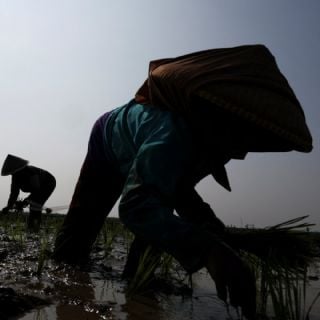 El Niño ya empezó; se prevé que sea uno de los más grandes desde 1950