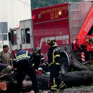 Lluvias en CDMX dejan más de 60 árboles caídos, encharcamientos y cortocircuitos 