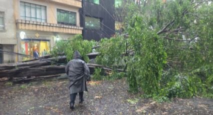 Lluvias en la CDMX provocan inundación en Anillo Periférico y caída de árboles