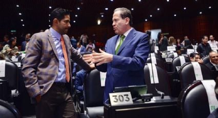 "Delitos ambientales se cuentan por miles": PVEM propone castigos más severos