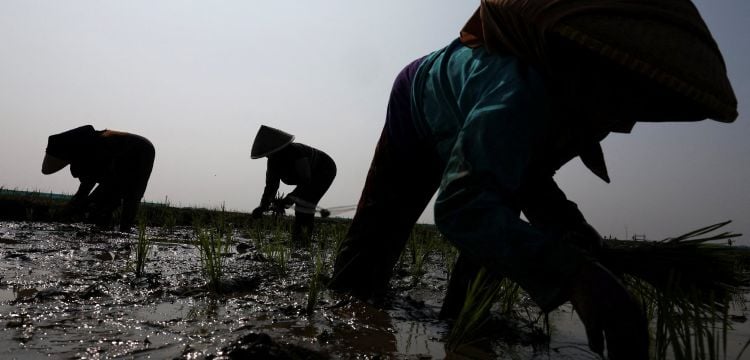 El Niño ya empezó; se prevé que sea uno de los más grandes desde 1950