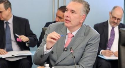 Impulsan la “Ley Pay de Limón” para endurecer sanciones por maltrato animal