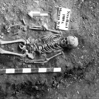 "Sorpresa total": brote de peste más antiguo contradice lo que se creía sobre esta enfermedad