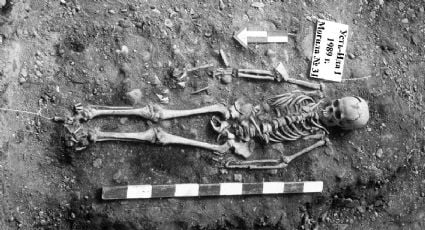 "Sorpresa total": el brote de peste más antiguo contradice lo que se creía sobre el origen esta enfermedad