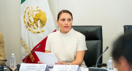 Ratifica Congreso a la nueva titular de Grandes Contribuyentes del SAT