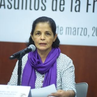 Recicla senadora del Verde Ecologista decena de iniciativas presentadas en San Lázaro 