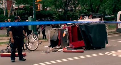 Muere joven de la India en accidente de carruaje en Central Park tras viaje con su familia a Nueva York