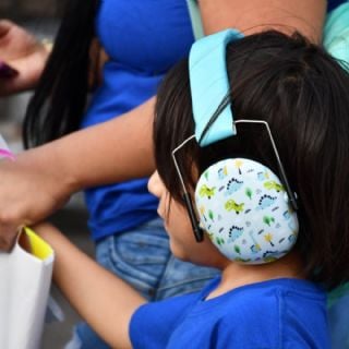 Descubren proteína que funciona como "interruptor" en el desarrollo del autismo y la esquizofrenia