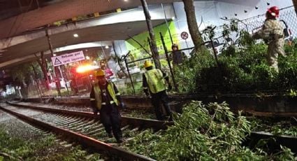 A nueve días del inicio del Mundial, el Tren Ligero suma días consecutivos de fallas