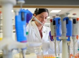 Ya hay herramientas prometedoras para combatir al hantavirus pese a limitaciones de financiamiento