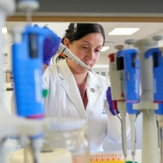 Ya hay herramientas prometedoras para combatir al hantavirus pese a limitaciones de financiamiento