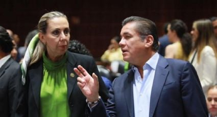 Tala ilegal en La Malinche refuerza propuesta del PVEM para castigar delitos ambientales como graves