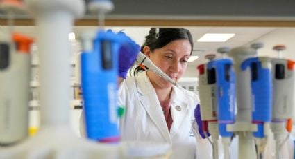 Ya hay herramientas prometedoras para combatir al hantavirus pese a limitaciones de financiamiento