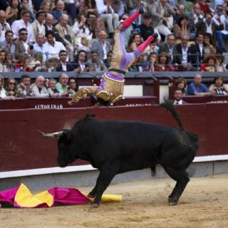 Torero es arrastrado dramáticamente por el toro durante varios metros en Las Ventas