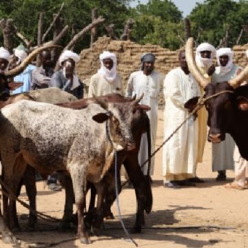 Enfrentamientos entre pastores y campesinos dejan al menos 32 muertos en Chad