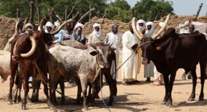 Enfrentamientos entre pastores y campesinos dejan al menos 32 muertos en Chad, entre ellos cuatro niños