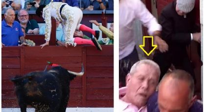 ¡Drama en Las Ventas! Un toro se escapa al ver puerta abierta y deja inconsciente a un trabajador de la plaza tras cornearlo