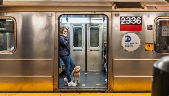 Apuñalan a cinco personas en la estación Penn de Nueva York previo a visita de Trump
