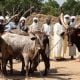 Enfrentamientos entre pastores y campesinos dejan al menos 32 muertos en Chad