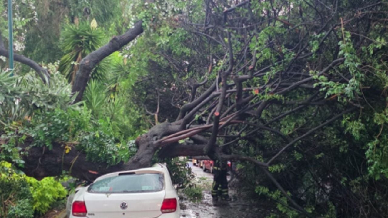 Alerta amarilla en CDMX: las fuertes lluvias dejan encharcam