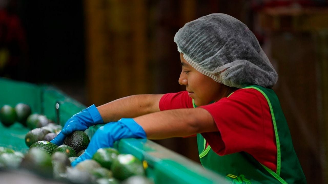 Retrocede la creación de empleo en México: se pierden casi 3