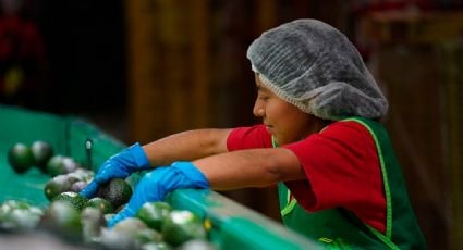 Retrocede la creación de empleo en México: se pierden casi 30 mil puestos formales en mayo