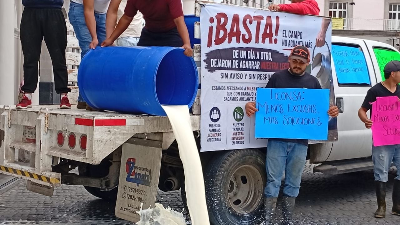 Ganaderos llevan vacas y derraman leche frente al Palacio de