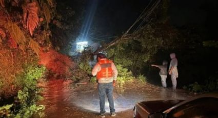 Lluvias provocan derrumbes, inundaciones y daños en varios municipios de Veracruz