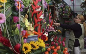 EU-multas-flores-prohibidas-mexico-san-valentin