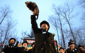 Día de la Marmota en Pensilvania / Foto: Reuters